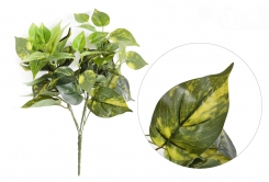 051 Veštaćke lozice